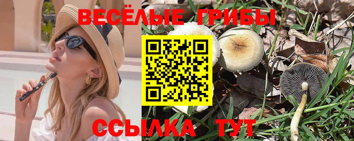 Псилоцибиновые грибы GOLDEN TEACHER  Псилоцибиновые грибы GOLDEN TEACHER  Вход с VPN  Кыштым 